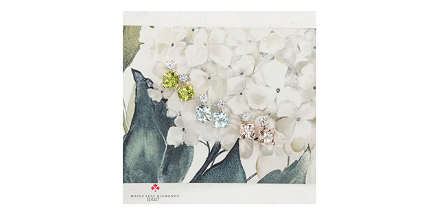 Earrings - Aquamarine and Diamonds - 14kt white gold | ML921WAQ - Image 3