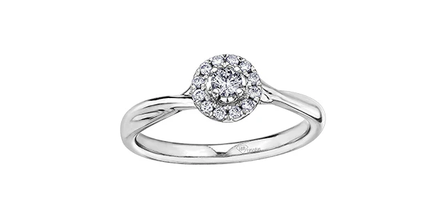 Diamonds ring - 10kt white gold | AM363W20 - Image 3