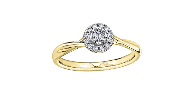 Diamonds ring - 10kt yellow & white gold | AM363YW20 - Image 3